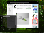 Gnome openSUSE+Cinnamon